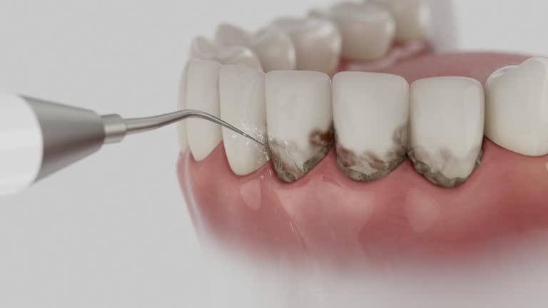 Reliable Dental contractor in Big Lake, MN by Dentist Open Now